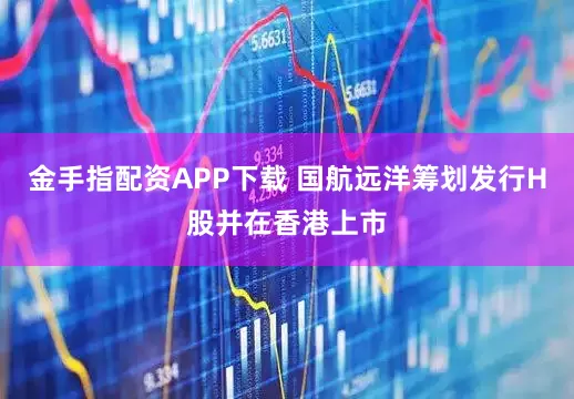 金手指配资APP下载 国航远洋筹划发行H股并在香港上市